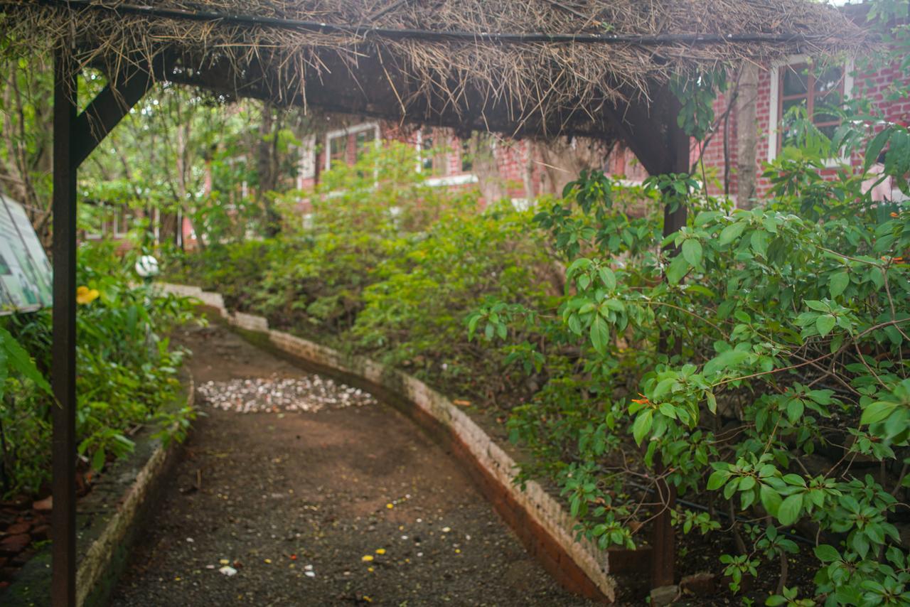 Sterling Nature Trails Dabhosa , Jawahar Birjpara Экстерьер фото